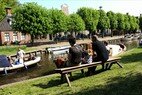 Op een bankje in sloten 